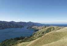 Sağlık Sektöründe Basın Bülteni Kullanımı ve Örnekler Sağlık Sektöründe Basın Bülteni Kullanımı ve Örnekler