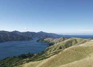 Sağlık Sektöründe Basın Bülteni Kullanımı ve Örnekler Sağlık Sektöründe Basın Bülteni Kullanımı ve Örnekler