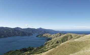 Sağlık Sektöründe Basın Bülteni Kullanımı ve Örnekler Sağlık Sektöründe Basın Bülteni Kullanımı ve Örnekler