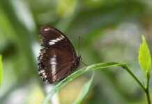 Sanat ve Kültür Etkinlikleri İçin Basın Bülteni Hazırlama Kılavuzu Sanat ve Kültür Etkinlikleri İçin Basın Bülteni Hazırlama Kılavuzu