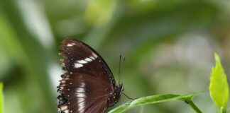 Sanat ve Kültür Etkinlikleri İçin Basın Bülteni Hazırlama Kılavuzu Sanat ve Kültür Etkinlikleri İçin Basın Bülteni Hazırlama Kılavuzu