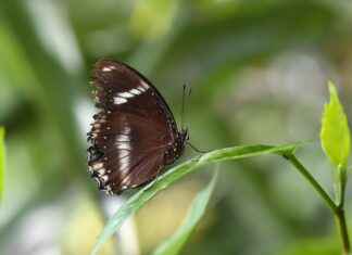 Sanat ve Kültür Etkinlikleri İçin Basın Bülteni Hazırlama Kılavuzu Sanat ve Kültür Etkinlikleri İçin Basın Bülteni Hazırlama Kılavuzu