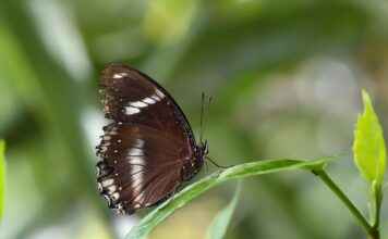 Sanat ve Kültür Etkinlikleri İçin Basın Bülteni Hazırlama Kılavuzu Sanat ve Kültür Etkinlikleri İçin Basın Bülteni Hazırlama Kılavuzu