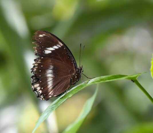 Sanat ve Kültür Etkinlikleri İçin Basın Bülteni Hazırlama Kılavuzu Sanat ve Kültür Etkinlikleri İçin Basın Bülteni Hazırlama Kılavuzu