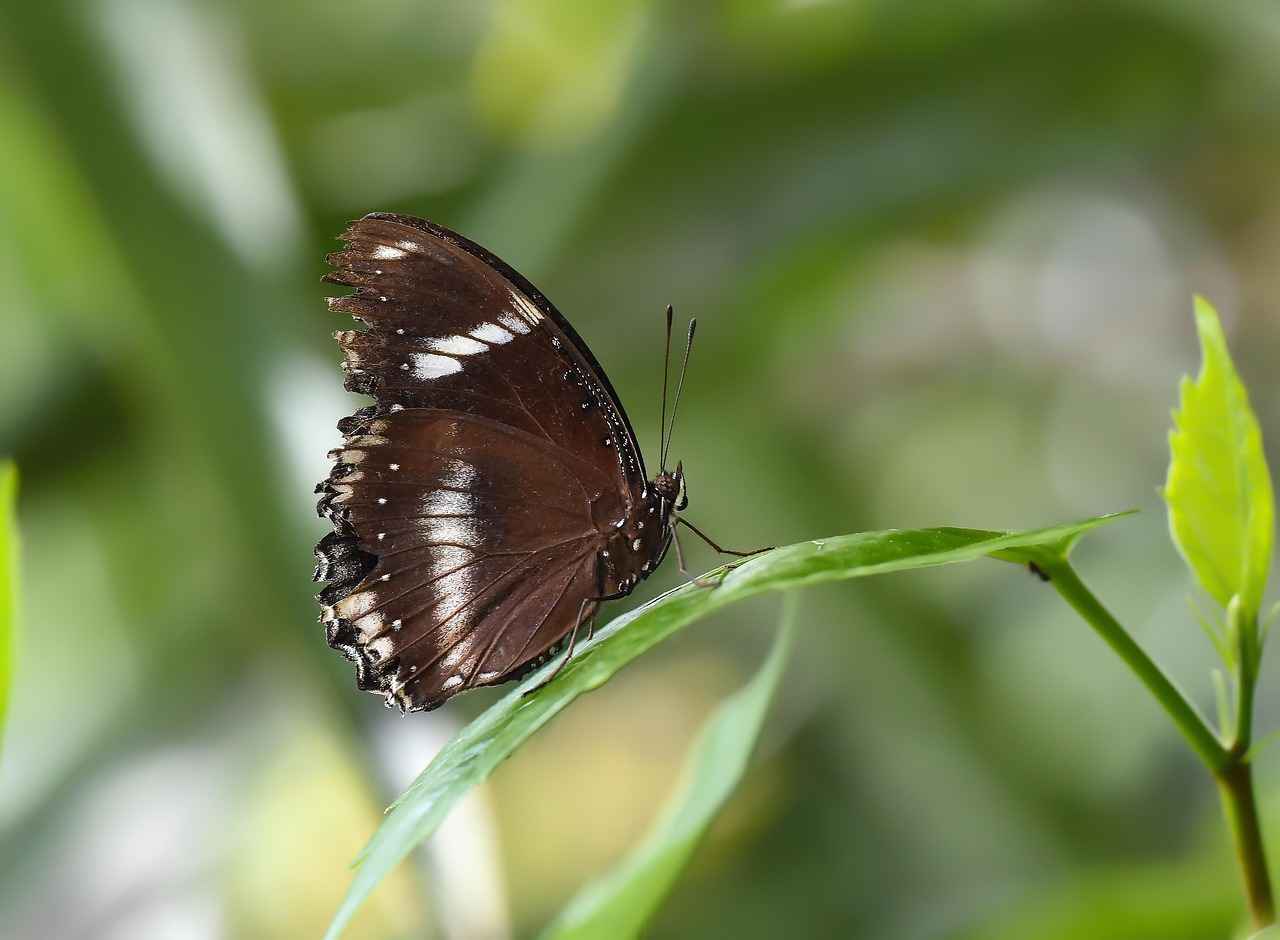 Medya İlişkileri Kurma