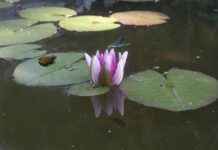 Sektöre Özel Basın Bülteni Hazırlama Teknikleri Sektöre Özel Basın Bülteni Hazırlama Teknikleri