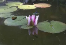 Sektöre Özel Basın Bülteni Hazırlama Teknikleri Sektöre Özel Basın Bülteni Hazırlama Teknikleri