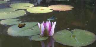 Sektöre Özel Basın Bülteni Hazırlama Teknikleri Sektöre Özel Basın Bülteni Hazırlama Teknikleri