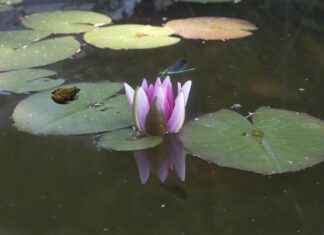 Sektöre Özel Basın Bülteni Hazırlama Teknikleri Sektöre Özel Basın Bülteni Hazırlama Teknikleri