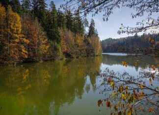 Şirket Değişikliklerini Duyurmak İçin Basın Bülteni Kullanımı Şirket Değişikliklerini Duyurmak İçin Basın Bülteni Kullanımı