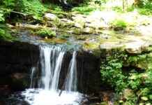 Şirket Duyuruları İçin Profesyonel Basın Bülteni Örnekleri Şirket Duyuruları İçin Profesyonel Basın Bülteni Örnekleri