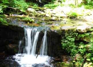 Şirket Duyuruları İçin Profesyonel Basın Bülteni Örnekleri Şirket Duyuruları İçin Profesyonel Basın Bülteni Örnekleri