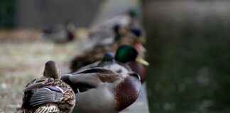 Şirketler İçin Profesyonel Basın Bülteni Hazırlama Rehberi Şirketler İçin Profesyonel Basın Bülteni Hazırlama Rehberi