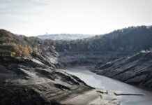 Siyasi Partiler İçin Etkili Basın Bülteni Stratejileri Siyasi Partiler İçin Etkili Basın Bülteni Stratejileri