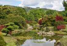 Yeni Ürün veya Hizmet Tanıtımı İçin Basın Bülteni Önerileri Yeni Ürün veya Hizmet Tanıtımı İçin Basın Bülteni Önerileri