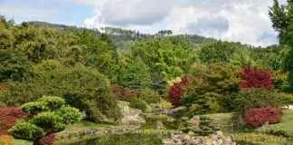 Yeni Ürün veya Hizmet Tanıtımı İçin Basın Bülteni Önerileri Yeni Ürün veya Hizmet Tanıtımı İçin Basın Bülteni Önerileri