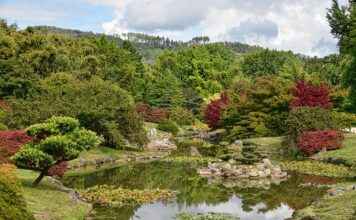 Yeni Ürün veya Hizmet Tanıtımı İçin Basın Bülteni Önerileri Yeni Ürün veya Hizmet Tanıtımı İçin Basın Bülteni Önerileri