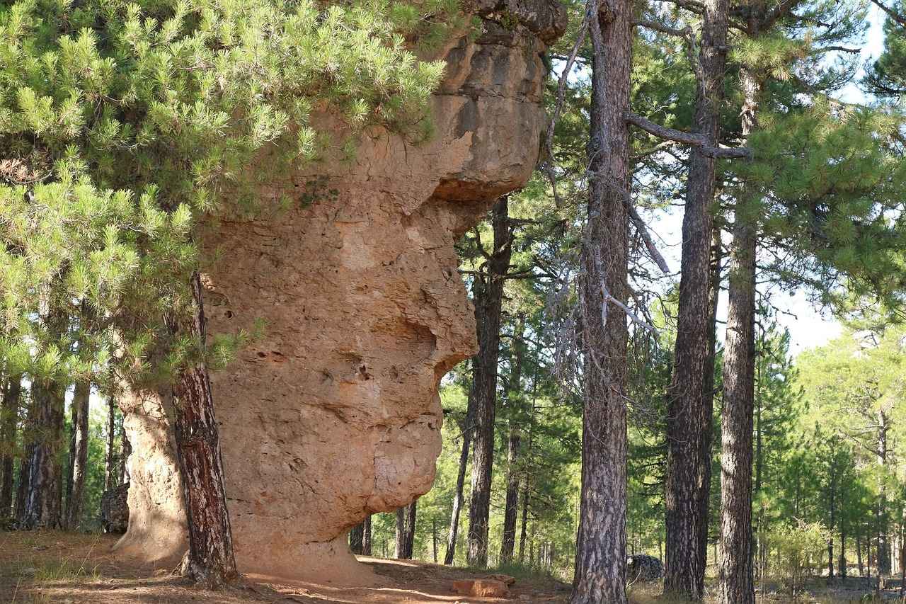 Başlık ve Alt Başlıkların Önemi