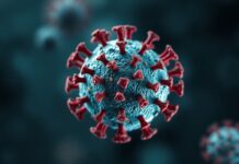 Dünya Çapında Yayılan Yeni Bir Virüs: Hemen Tüm Ülkeler Etkilendi A New Virus Spreading Globally: Almost All Countries Affected