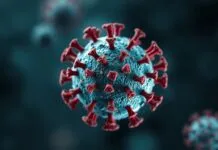 Dünya Çapında Yayılan Yeni Bir Virüs: Hemen Tüm Ülkeler Etkilendi A New Virus Spreading Globally: Almost All Countries Affected