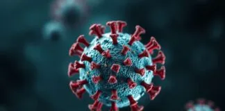 Dünya Çapında Yayılan Yeni Bir Virüs: Hemen Tüm Ülkeler Etkilendi A New Virus Spreading Globally: Almost All Countries Affected