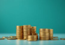 Dünyada Yatırım Fırsatları: Bangladeş Hükümet Borçları Investment Opportunities in the World: Government Debts of Bangladesh