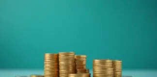 Dünyada Yatırım Fırsatları: Bangladeş Hükümet Borçları Investment Opportunities in the World: Government Debts of Bangladesh