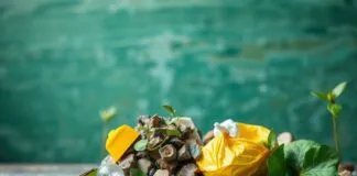 Türkiye’de Çevre Bilinci ve Atık Yönetimi: Yeni Gelişmeler Environmental Awareness and Waste Management in Turkey: New Developments