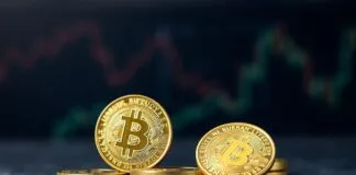 Türkiye’de Kripto Para Trendleri ve Yatırım İpuçları Cryptocurrency Trends and Investment Tips in Turkey