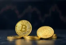 Türkiye’de Kripto Para Trendleri ve Yatırım İpuçları Cryptocurrency Trends and Investment Tips in Turkey