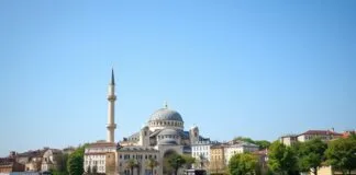 Türkiye’de Yeni Bir Dönem: Ekonomik Yatırımların Rolü A New Era in Turkey: The Role of Economic Investments