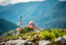Türkiye’de Yeni Bir Dönem: İklim Değişikliği ve Adaptasyon Stratejileri A New Era in Turkey: Climate Change and Adaptation Strategies