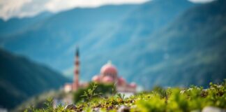 Türkiye’de Yeni Bir Dönem: İklim Değişikliği ve Adaptasyon Stratejileri A New Era in Turkey: Climate Change and Adaptation Strategies