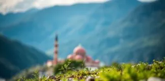 Türkiye’de Yeni Bir Dönem: İklim Değişikliği ve Adaptasyon Stratejileri A New Era in Turkey: Climate Change and Adaptation Strategies