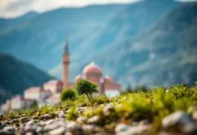 Türkiye’de Yeni Bir Dönem: İklim Değişikliği ve Adaptasyon Stratejileri A New Era in Turkey: Climate Change and Adaptation Strategies