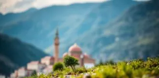 Türkiye’de Yeni Bir Dönem: İklim Değişikliği ve Adaptasyon Stratejileri A New Era in Turkey: Climate Change and Adaptation Strategies