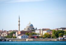 Türkiye’de Yeni Bir Yatırım Dalgası: Yatırımcılar Nereye Yöneliyor? A New Wave of Investment in Turkey: Where Are Investors Heading?