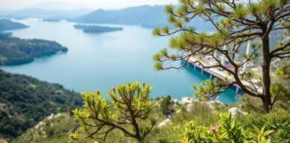 Türkiye’nin Doğal Güzellikleri ve Koruma Çabaları Turkey's Natural Beauties and Conservation Efforts