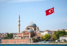 Türkiye’nin Ekonomik Gelişmesi ve Yatırım Fırsatları Turkey's Economic Development and Investment Opportunities