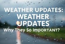 Hava Durumu Güncellemeleri: Neden Bu Kadar Önemli? Weather Updates: Why Are They So Important?